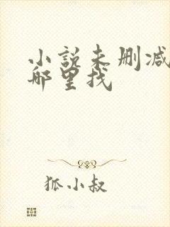 小说未删减版去哪里找