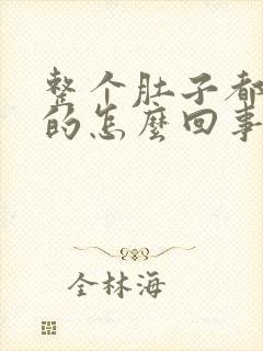 整个肚子都硬硬的怎么回事