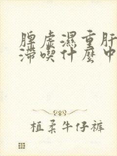 脾虚湿重肝郁气滞吃什么中成药