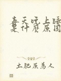 春天晚上睡不着是什么原因