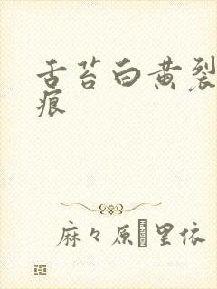 舌苔白黄裂纹齿痕