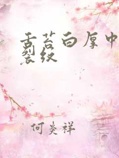 舌苔白厚中间有裂纹