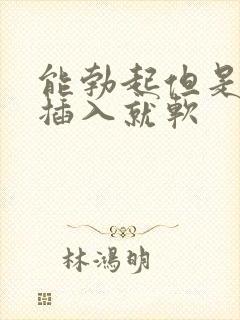 能勃起但是准备插入就软