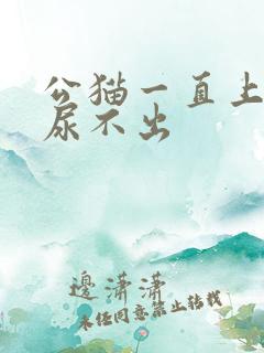 公猫一直上厕所尿不出