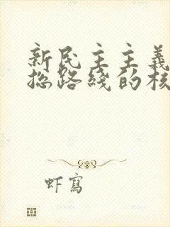 新民主主义革命总路线的核心是: