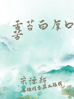 舌苔白厚口干口苦