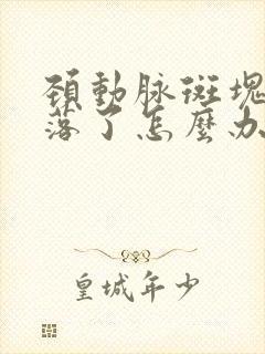 颈动脉斑块会脱落了怎么办