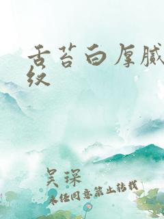 舌苔白厚腻有裂纹