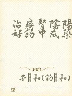 治疗肾阴阳两虚好的中成药