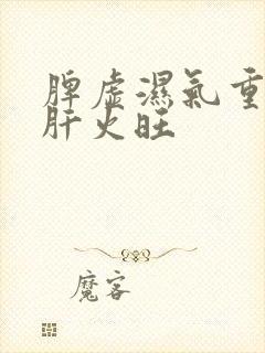 脾虚湿气重口臭肝火旺