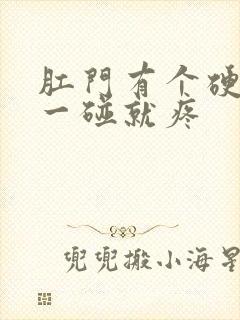 肛门有个硬疙瘩一碰就疼