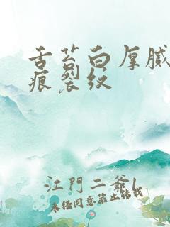 舌苔白厚腻有齿痕裂纹