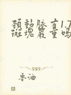 颈动脉有1.7斑块严重吗