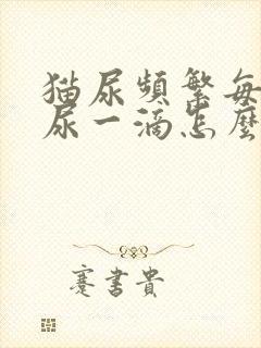 猫尿频繁每次只尿一滴怎么办