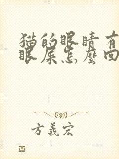 猫的眼睛有很多眼屎怎么回事