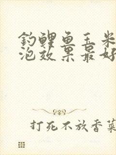 钓鲤鱼玉米怎么泡效果最好