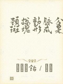 颈总动脉分叉处斑块形成是什么意思