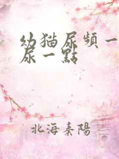 幼猫尿频一次只尿一点