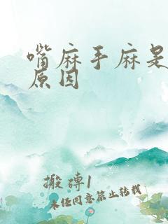 嘴麻手麻是什么原因