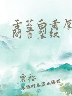 舌苔白黄厚腻中间有裂纹