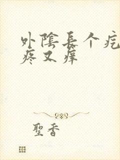 外阴长个疙瘩又疼又痒