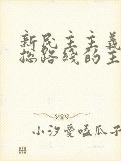 新民主主义革命总路线的主要内容