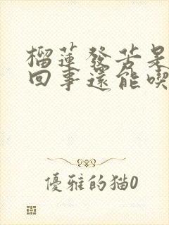 榴莲发苦是怎么回事还能吃吗