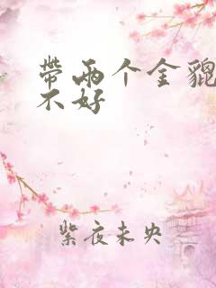 带两个金貔貅好不好