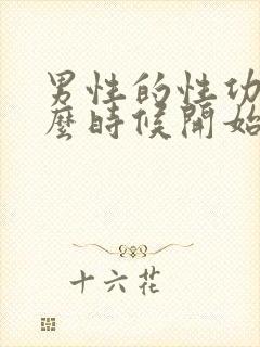 男性的性功能什么时候开始下降