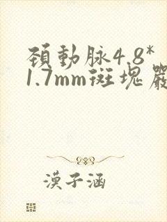 颈动脉4.8*1.7mm斑块严重吗