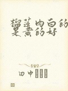 榴莲肉白的好还是黄的好