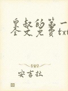 皇叔的第一宠妃全文免费txt