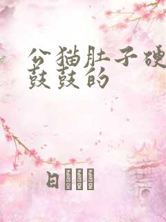 公猫肚子硬硬的鼓鼓的