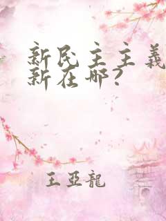 新民主主义革命新在哪?