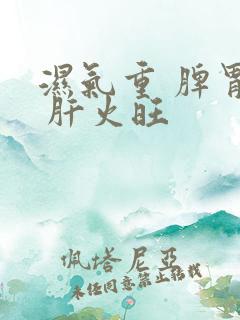 湿气重 脾胃虚 肝火旺