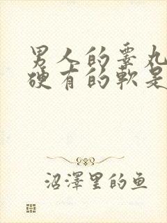 男人的睾丸有的硬有的软是怎么回事