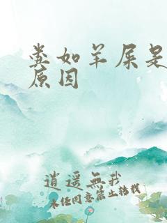 粪如羊屎是什么原因