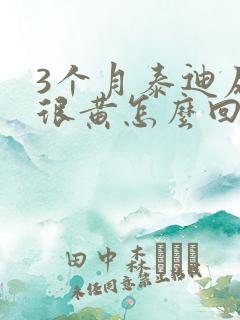 3个月泰迪尿液很黄怎么回事