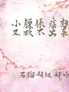 小腹胀痛想放屁又放不出来