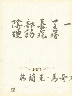 阴部长了一个硬硬的疙瘩