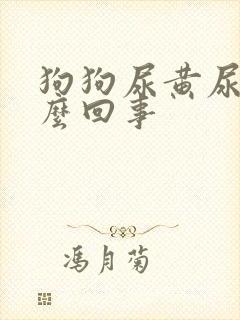 狗狗尿黄尿是怎么回事