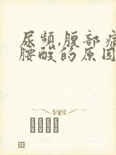 尿频,腹部痛,腰酸的原因