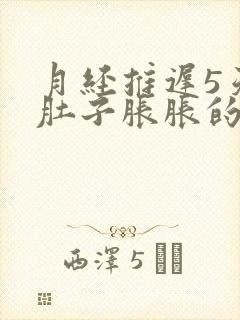 月经推迟5天小肚子胀胀的怎么回事