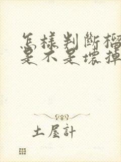 怎样判断榴莲肉是不是坏掉了