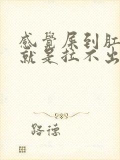 感觉屎到肛门了就是拉不出来