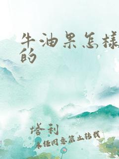 牛油果怎样是熟的