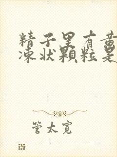 精子里有黄色果冻状颗粒是怎么回事