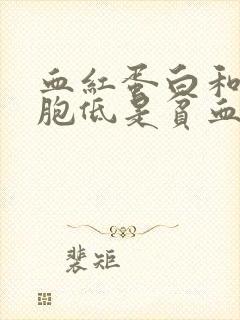 血红蛋白和红细胞低是贫血吗