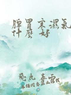 脾胃寒湿气重吃什么 好