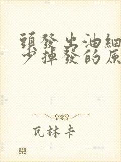 头发出油细软稀少掉发的原因